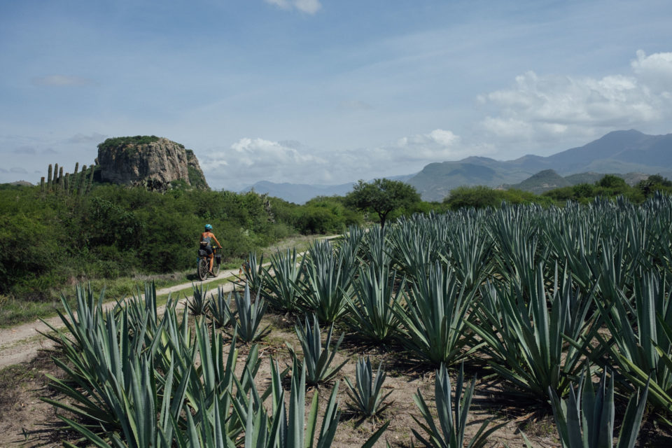 Vuelta A Los Pueblos Mancomunados, Oaxaca