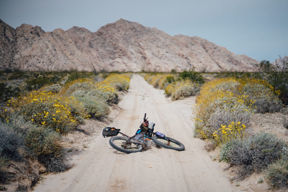 El Camino del Diablo, bikepacking Arizona