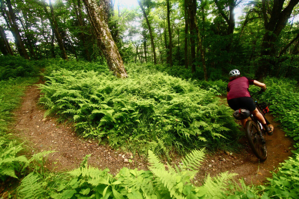 Heart of the Greens Loop