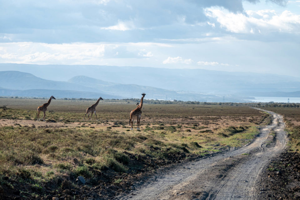 Kenya Bike Odyssey