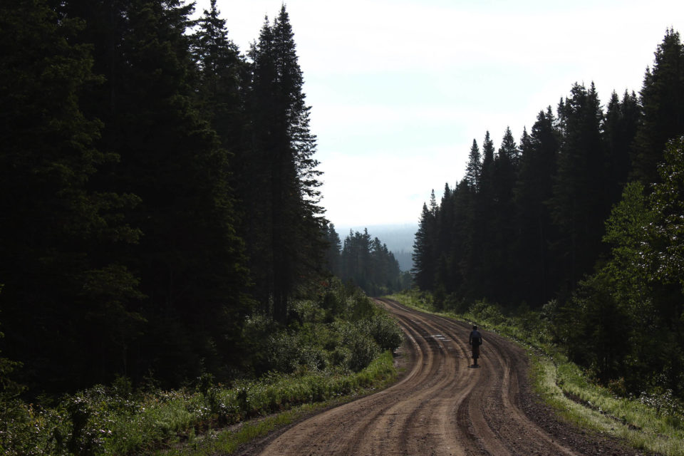 La Transgaspesie