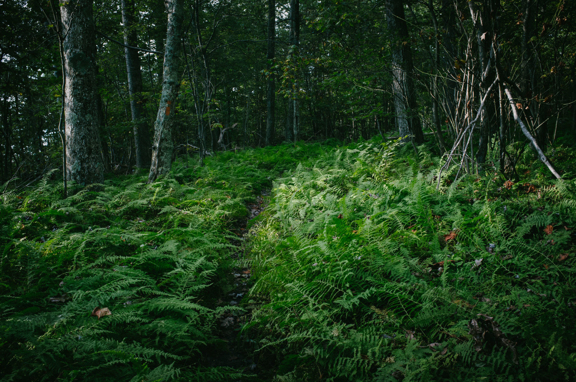 Leave No Trace Bikepacking