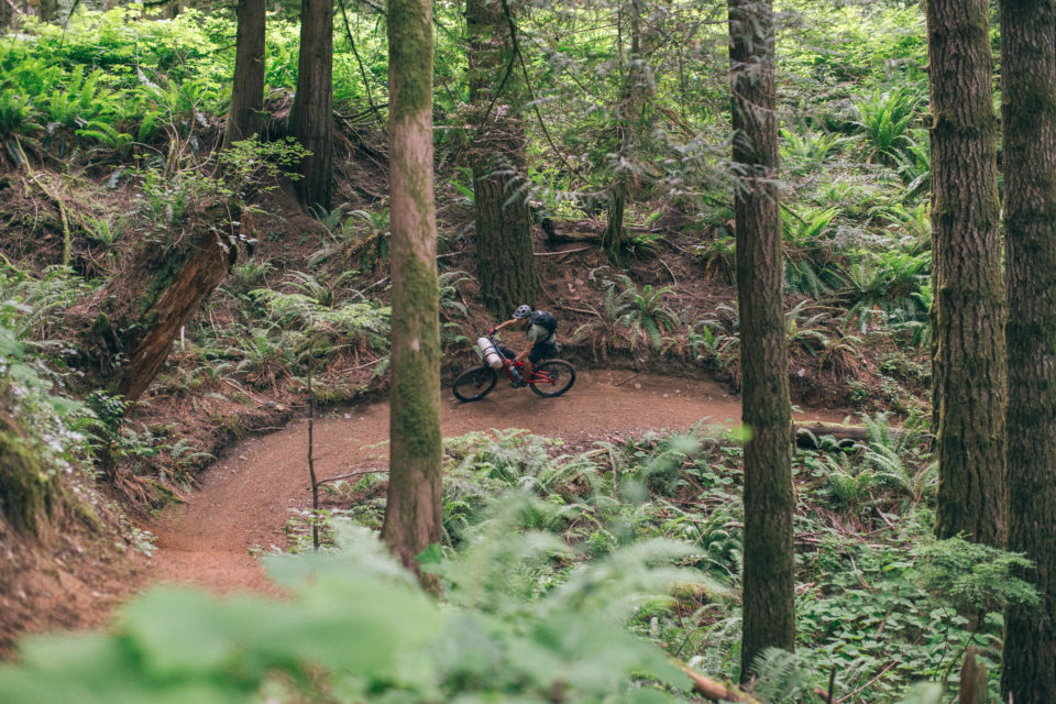 Snowden or Dust, Vancouver Island