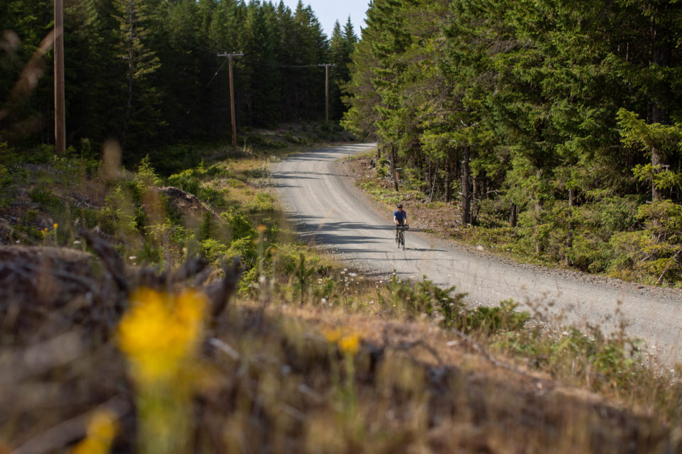 Texada Ridge Runner: Bikepacking Texada Island