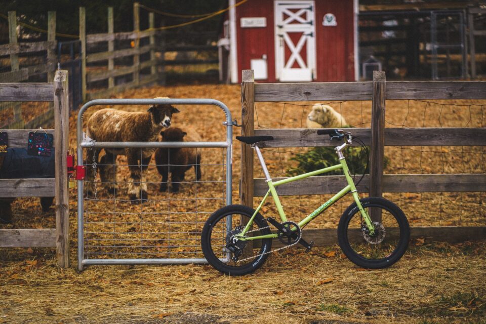 Check Out the New Velo Orange Neutrino in Celery Green!